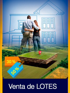lotes